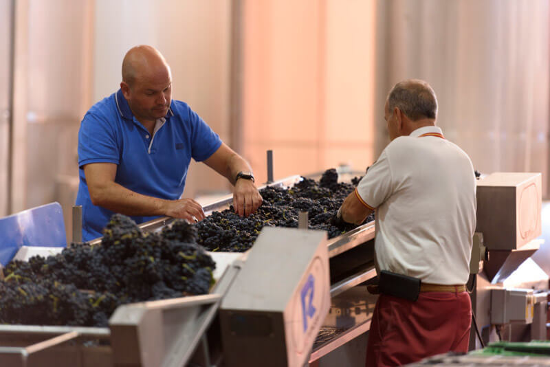weingut-bodegas_piedra-weinberg-3 weingut-bodegas_piedra-weinberg-3
