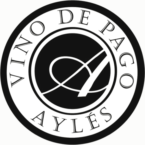 Bodega Pago Aylés