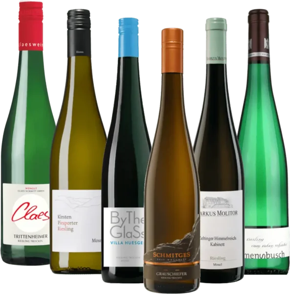 Rieslingrejse langs Mosel