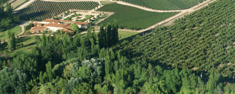 Sutil Family Wines vingård Sutil Family Wines vingård