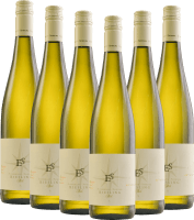 Riesling Schlabberwein - Ellermann-Spiegel - 6x Vorteilspaket