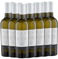 12x Vorteils-Weinpaket Prodigio del Sole Chardonnay - Latentia