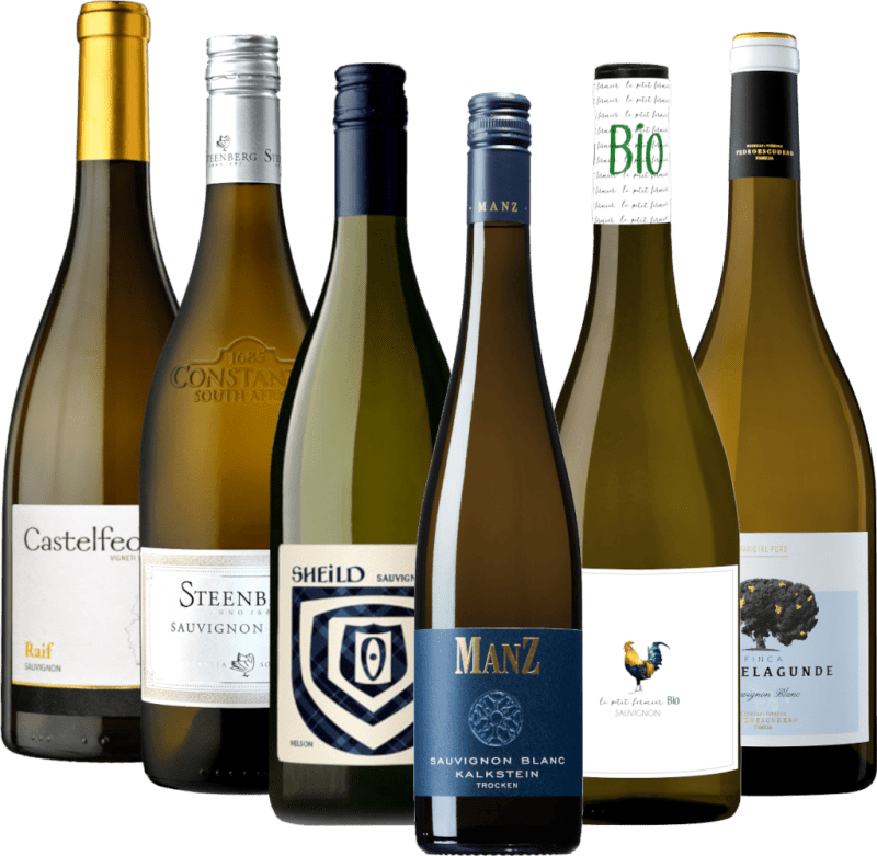 En Sauvignon Blanc Verdensrejse - 6x Smagepakke