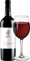 Vorschau: 12er Vorteils-Weinpaket - I Tratturi Negroamaro - Cantine San Marzano