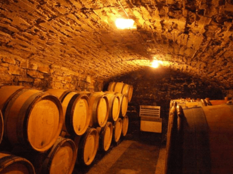 Domaine Dujardin Kælder Domaine Dujardin Kælder