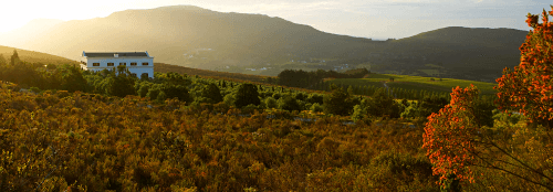 Hamilton Russell Vineyards i Walker Bay Hamilton Russell Vineyards i Walker Bay