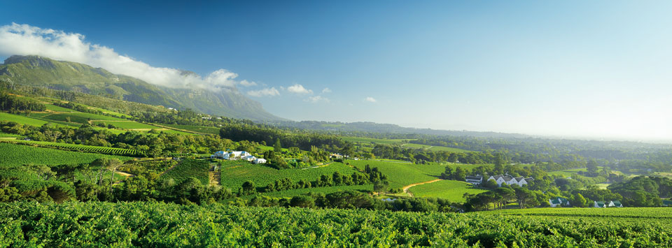 Constantia vinmarker Buitenverwachting Constantia vinmarker Buitenverwachting