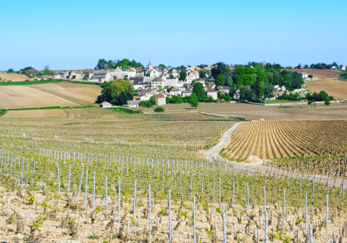 Domaine Dujardin Region Domaine Dujardin Region