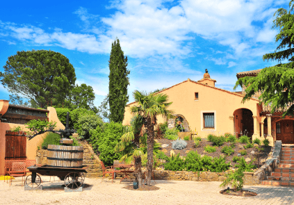 En typisk vingård i det sydlige Frankrig