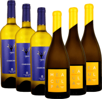 VINELLO.classics i hvid - 6x smagningspakke
