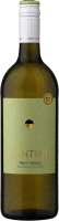 Pinot Grigio Terre d'Abruzzo IGT 1,0l - Fantini