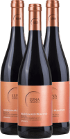 3er Vorteils-Weinpaket - Appassimento Negroamaro Primitivo - Luna Argenta