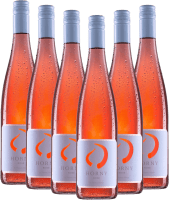 Horny Rosé - Weingut Hörner - 6x Vorteilspaket