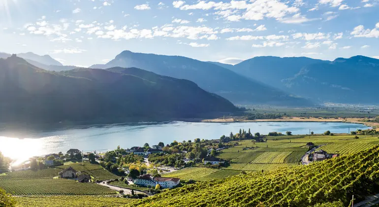 Det perfekte sommerudvalg fra Italien - smagekasse med 6 flasker