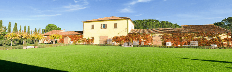 Ejendom Fattoria le Pupille Fattoria le Pupille vingård