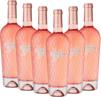 Sessantanni Primitivo Rosé Salento IGP - Cantine San Marzano - 6x fordelspakke