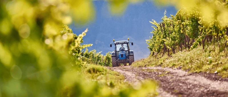 Traktor i vingården Karthaeuserhof