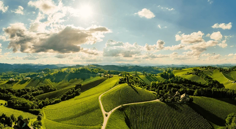 Rejsen med Riesling gennem Tyskland - 6x druesortspakke