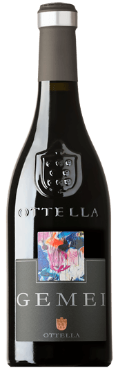 Vorschau: Campioni del Nord - 6x opdagelsespakke med norditalienske vine