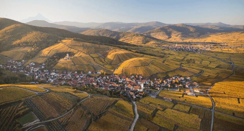 Domaine Marcel Deiss Omgivelser Domaine Marcel Deiss Omgivelser