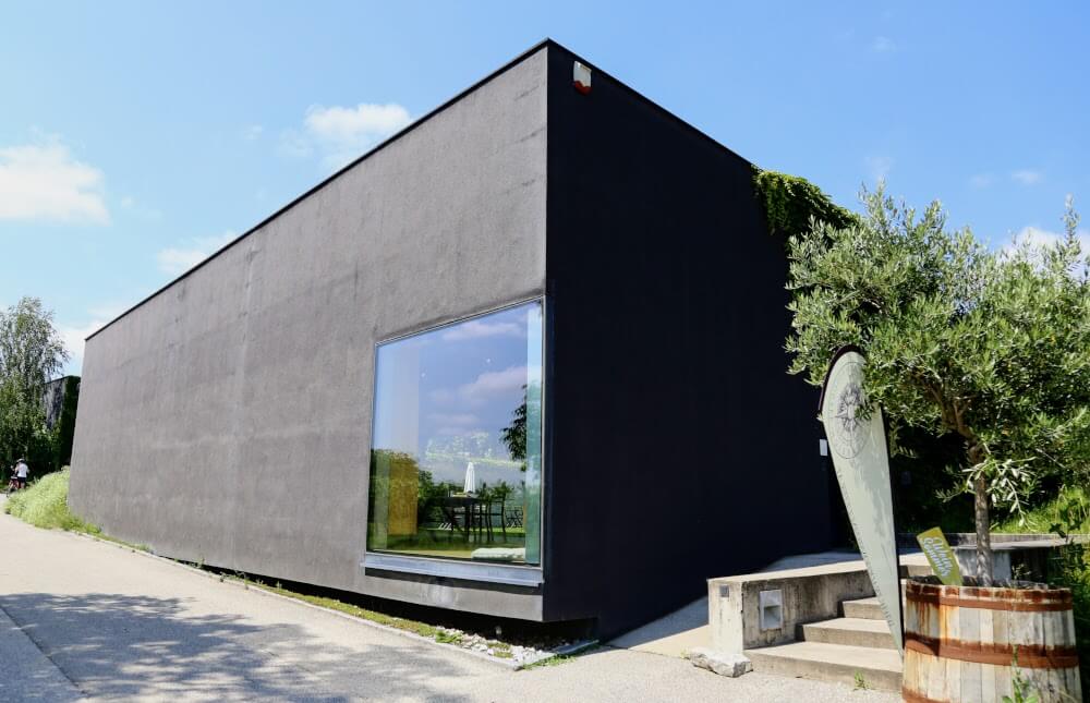 Winery Loimer Administration Smagning og trapper til kælderen