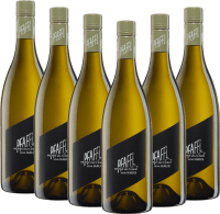 Vorschau: Vom Haus Grüner Veltliner - Weingut Pfaffl - 6x fordelspakke