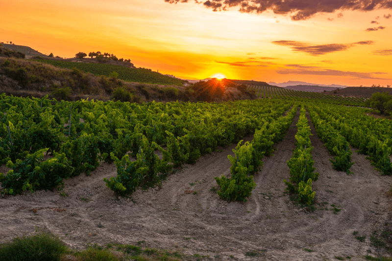 La Rioja bei Sonnenuntergang