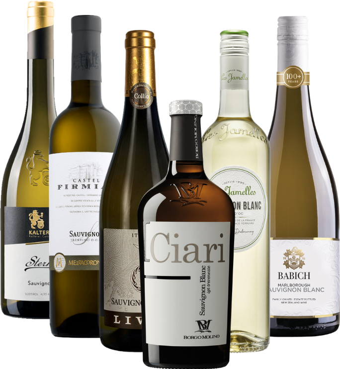 Den fascinerende verden af Sauvignon Blanc - 6x druesortspakke