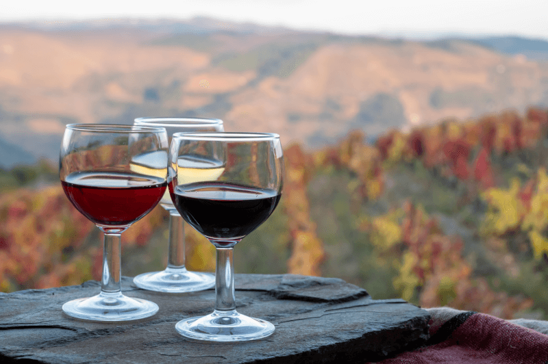 Vinsmagning i Douro-dalen Vinsmagning-i-Douro-dalen