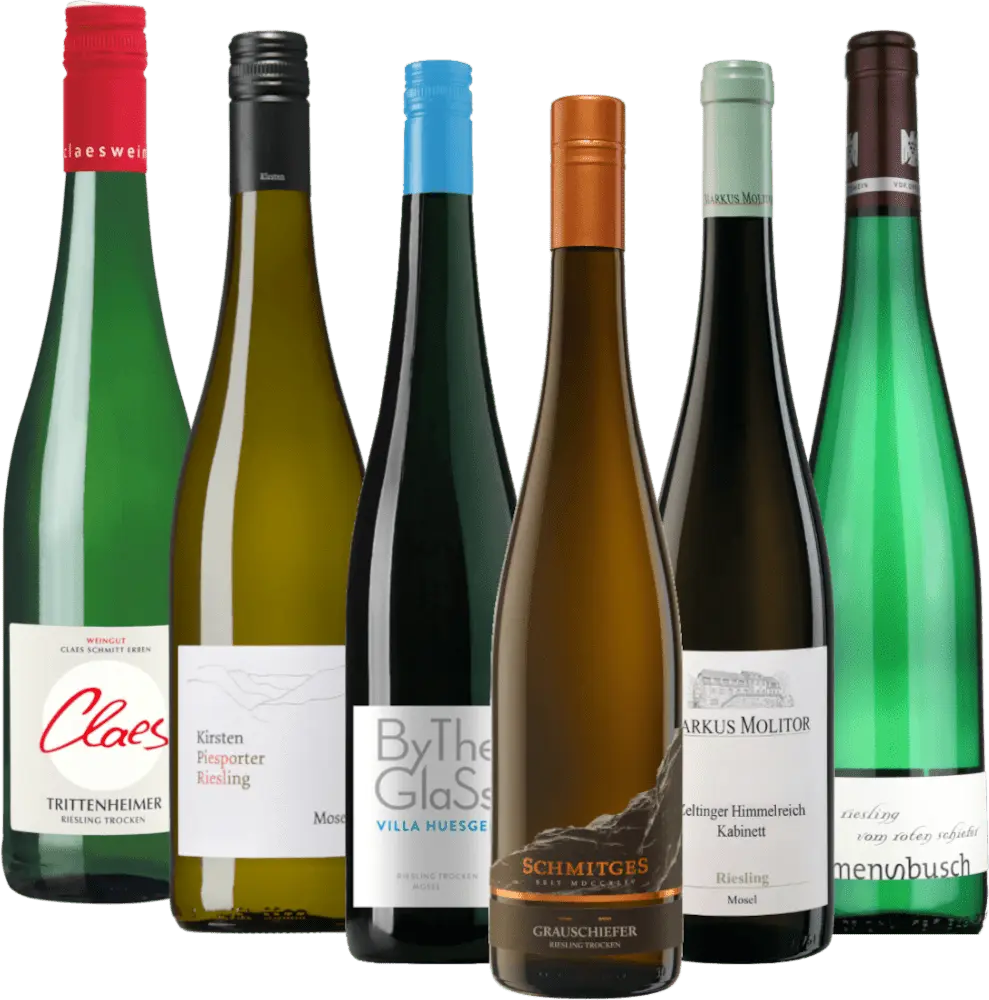 Rieslingrejse langs Mosel