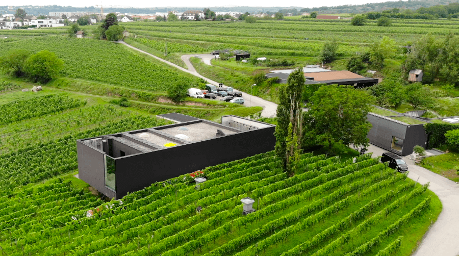 Loimer Winery set fra luften