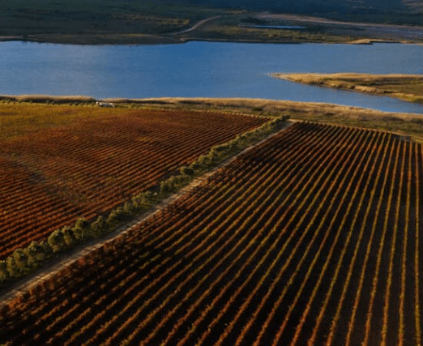 Havluften blæser rundt om vinmarkerne, også ved Uilenkraal-floden