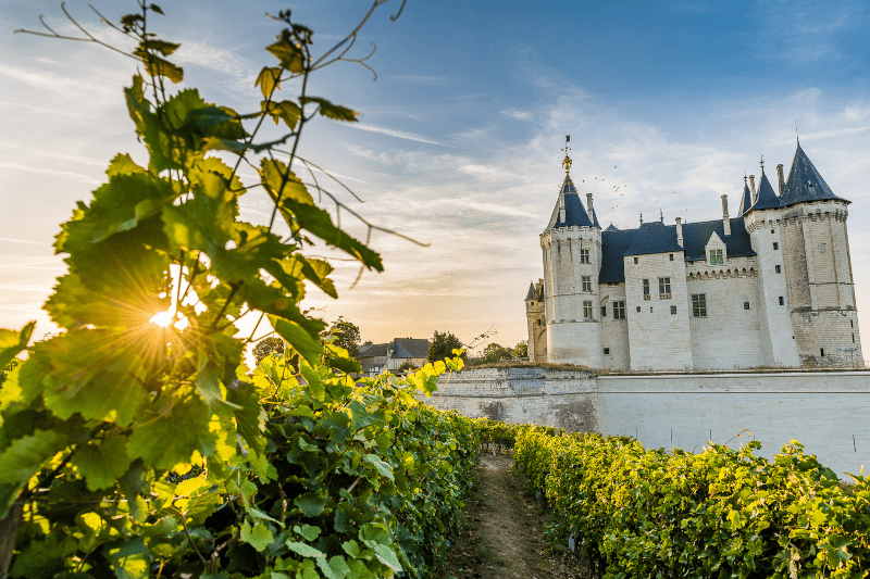 Château in Saumur, centrum for Crémant de Loire Château in Saumur, centrum for Crémant de Loire