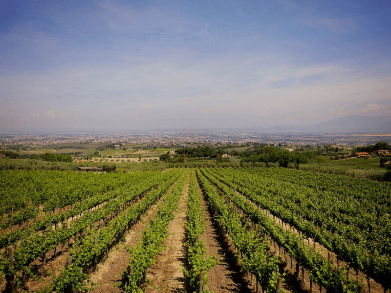 Lazio-regionen Lazio-regionen