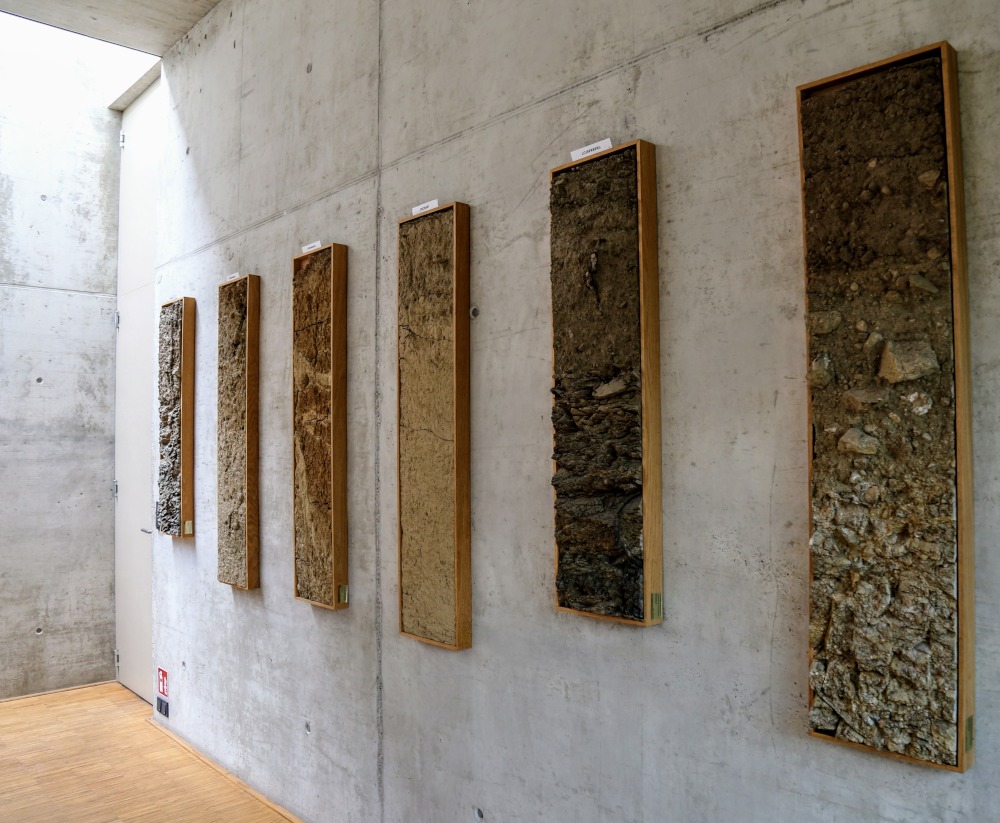 Jordbundsprofiler i Loimer-vinmarkerne