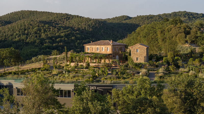 Vingård Tenuta Luce