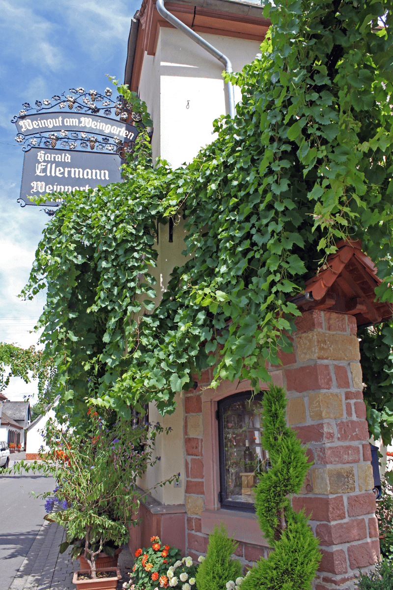 Indkørsel til vingården Ellermann & Spiegel