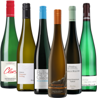 Rejsen med Riesling gennem Tyskland - 6x druesortspakke