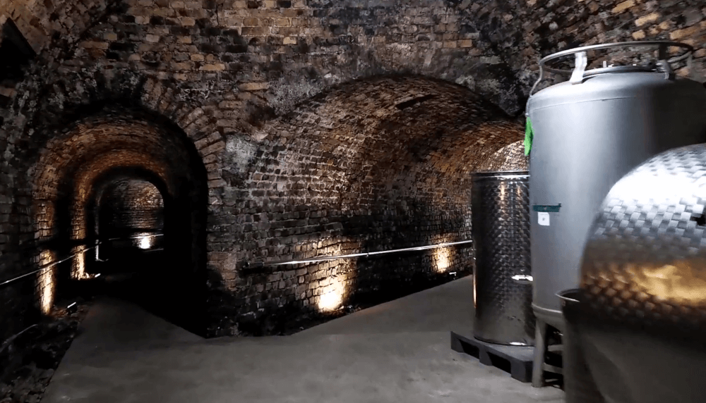 Vingård Loimer Altes Kellergewoelbe