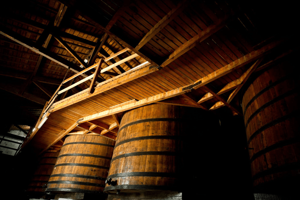 Udsigt ind i kælderen