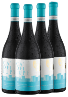 4x Vorteils-Weinpaket Falanghina del Sannio DOC - Ca' Dei Lupi