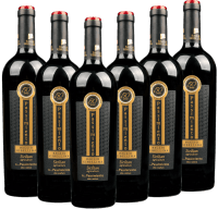 Vorschau: U...Passimiento DOC - Baglio Gibellina - 6x fordelspakke