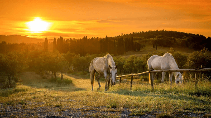 Det maleriske landskab i Mustiaio