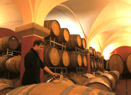 Kælderen i Spiess Winery Kælderen i Spiess Winery