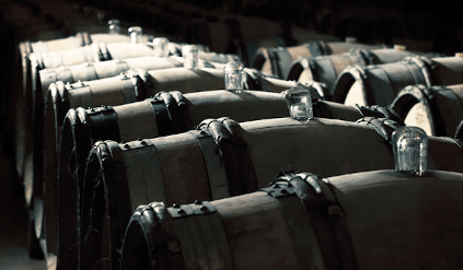 I vinkælderen hos William Fevre