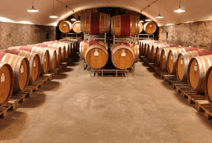 Keller vom Weingut Nelles