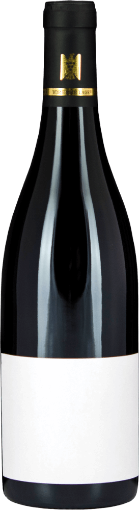 Vorschau: 12x Vorteils-Weinpaket Fellbacher Trollinger SINE trocken - Aldinger