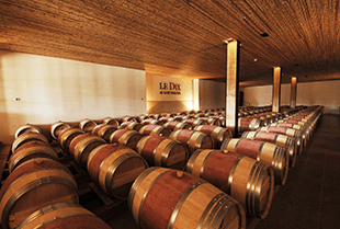 Vinkælderen hos Vina Los Vascos