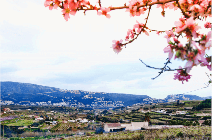 Alicante i panorama