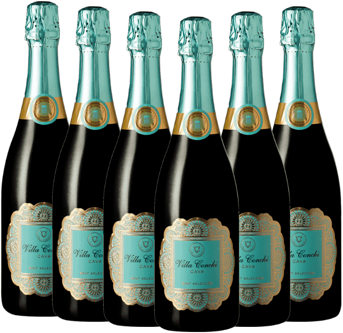 Seleccion Cava Brut DO fra Villa Conchi - 6x fordelspakke